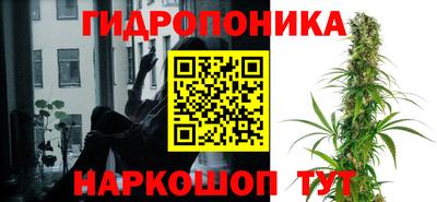 дмт Камышлов