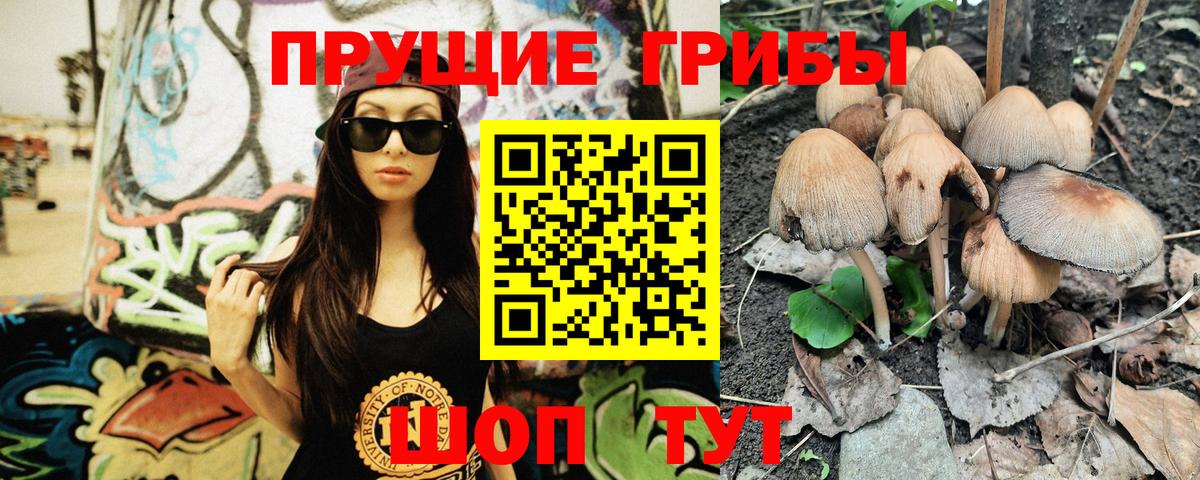 Псилоцибиновые грибы прущие грибы Котлас