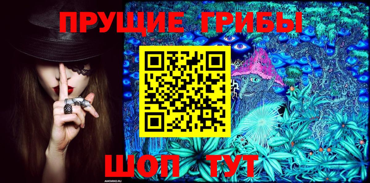 Галлюциногенные грибы Magic Shrooms  Псилоцибиновые грибы мицелий  где купить наркоту  Вход с VPN  Котлас 